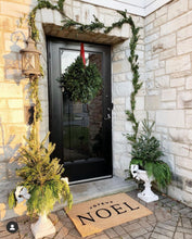 Load image into Gallery viewer, Noel Doormat