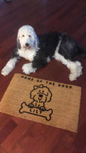 Load image into Gallery viewer, Custom Doodle Doormat